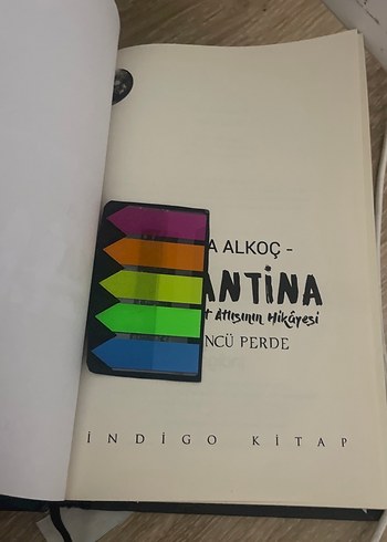 Karantina roman - Görsel 4