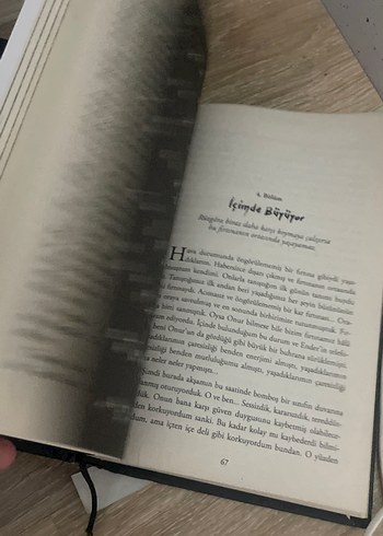 Karantina roman - Görsel 3