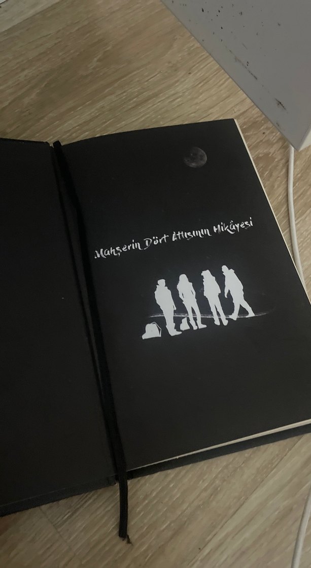 Karantina roman - Görsel 2