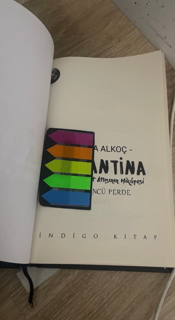 Karantina roman - Görsel 4