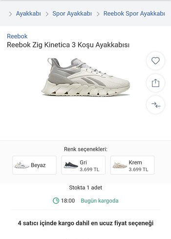 Reebok Zig Kinetica 3 Koşu Ayakkabısı - Görsel 9