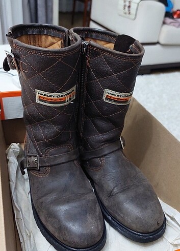 33 Beden Harley davidson bot