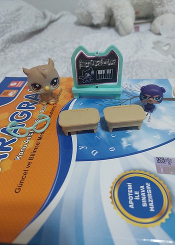 Lps miniş okulu