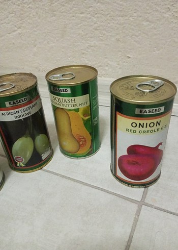 teneke kapalı kutuda dogal tohum - Görsel 4