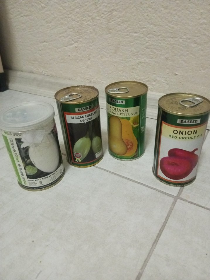 teneke kapalı kutuda dogal tohum - Görsel 2