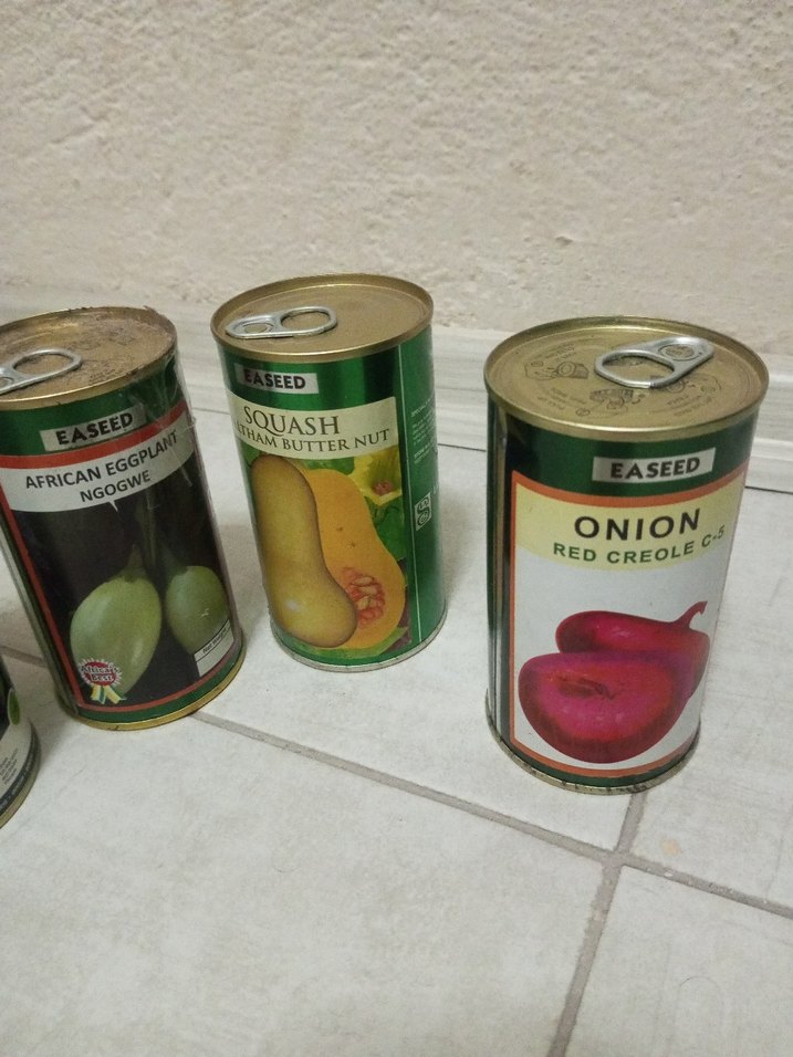 teneke kapalı kutuda dogal tohum - Görsel 4