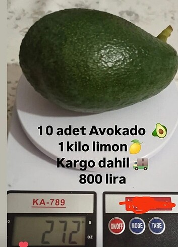 Diğer Avokado 