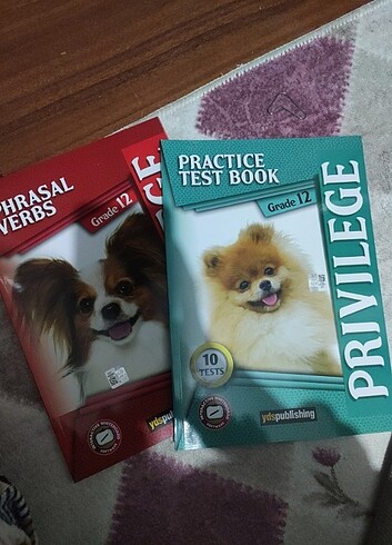  Privilege ingilizce dil 