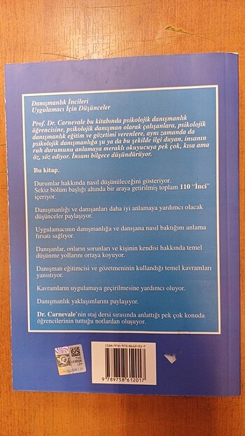 Danışmanlık incileri