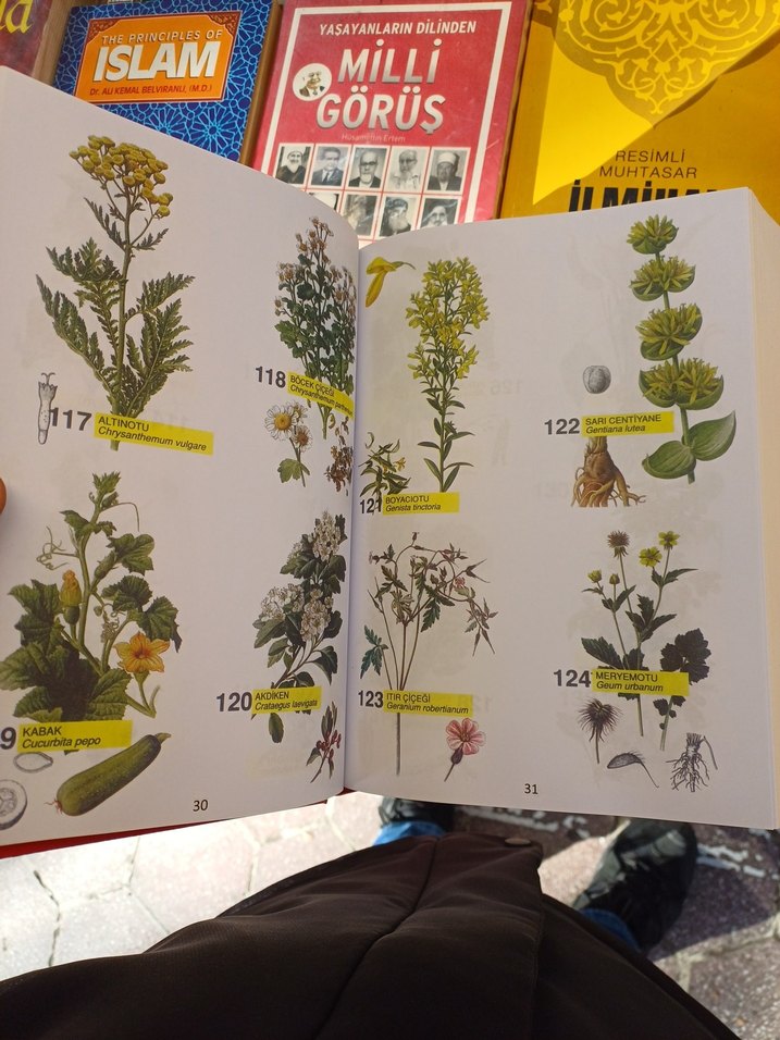 Şifalı Bitkiler Ansiklopedisi - Arif Pamuk - Görsel 2