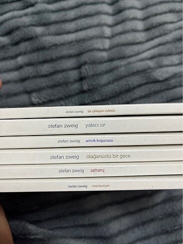 STEFAN ZWRİG 6 DÜNYA KLASİGİ - Görsel 5