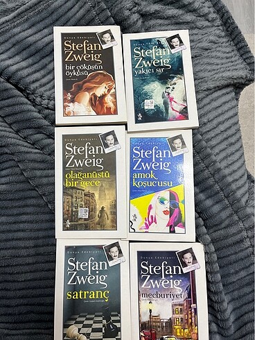 STEFAN ZWRİG 6 DÜNYA KLASİGİ - Görsel 2