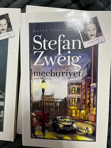 STEFAN ZWRİG 6 DÜNYA KLASİGİ - Görsel 7