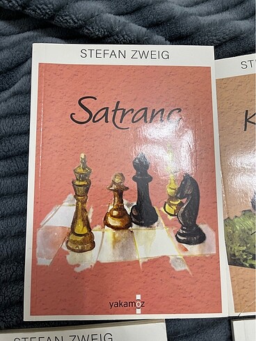 STEFAN ZWEIG 4 KİTABI - Görsel 3