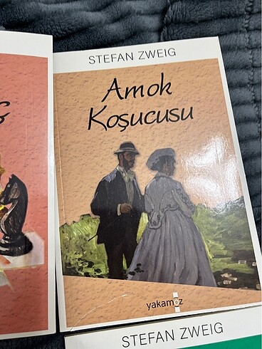 STEFAN ZWEIG 4 KİTABI - Görsel 4