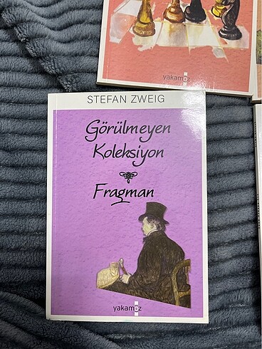 STEFAN ZWEIG 4 KİTABI - Görsel 2