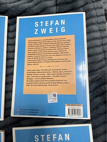 STEFAN ZWEIG 4 KİTABI - Görsel 9