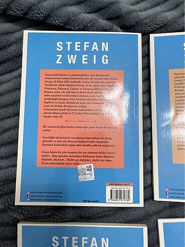 STEFAN ZWEIG 4 KİTABI - Görsel 10