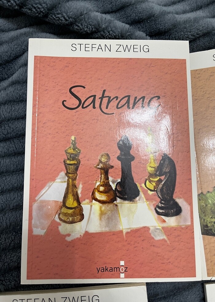 STEFAN ZWEIG 4 KİTABI - Görsel 3