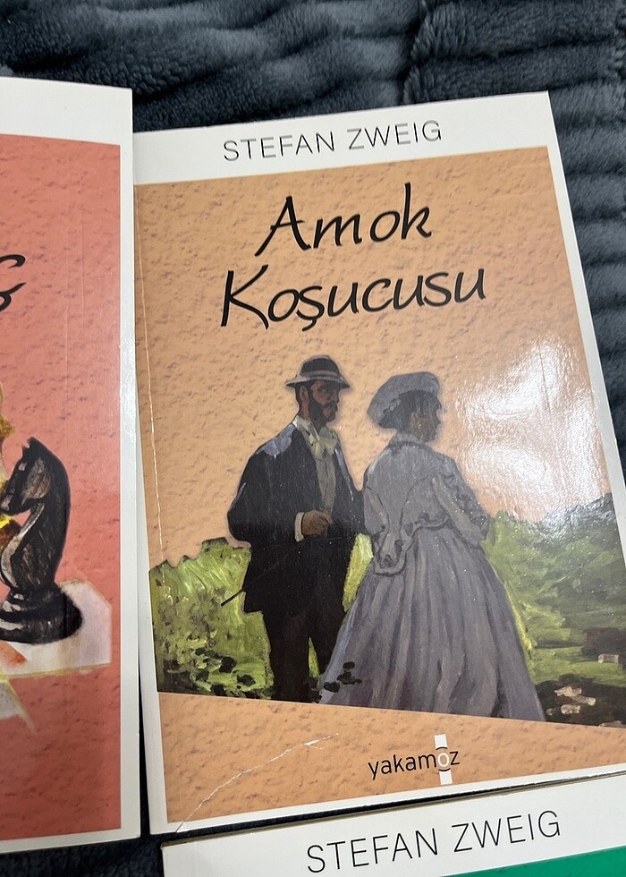 STEFAN ZWEIG 4 KİTABI - Görsel 4