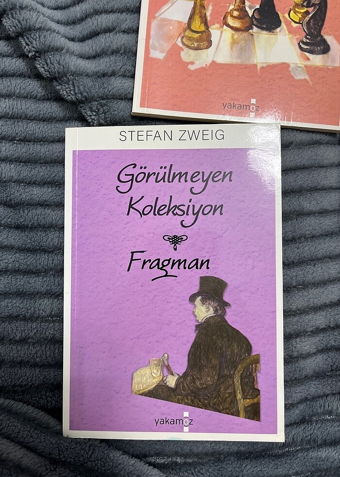 STEFAN ZWEIG 4 KİTABI - Görsel 2