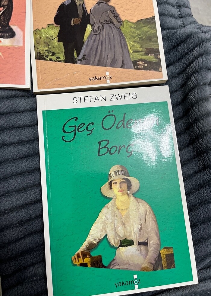 STEFAN ZWEIG 4 KİTABI - Görsel 5