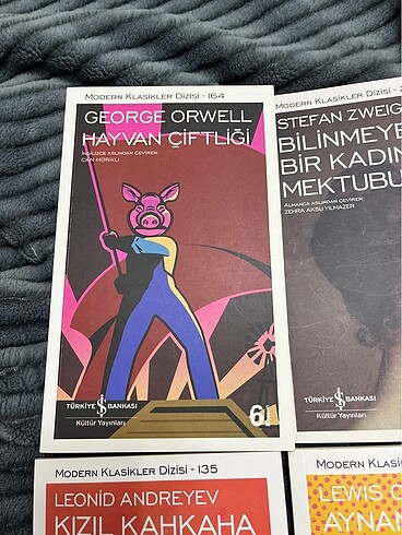 MODERN KLASİK DİZİSİ - Görsel 5