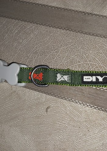 Gri Köpek Tasma - Görsel 3