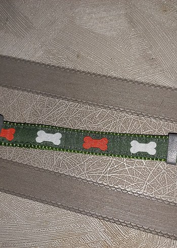 Gri Köpek Tasma - Görsel 2