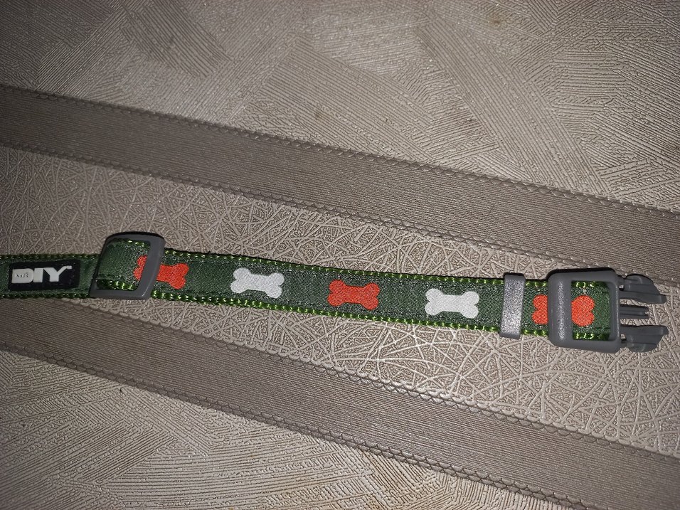 Gri Köpek Tasma - Görsel 2