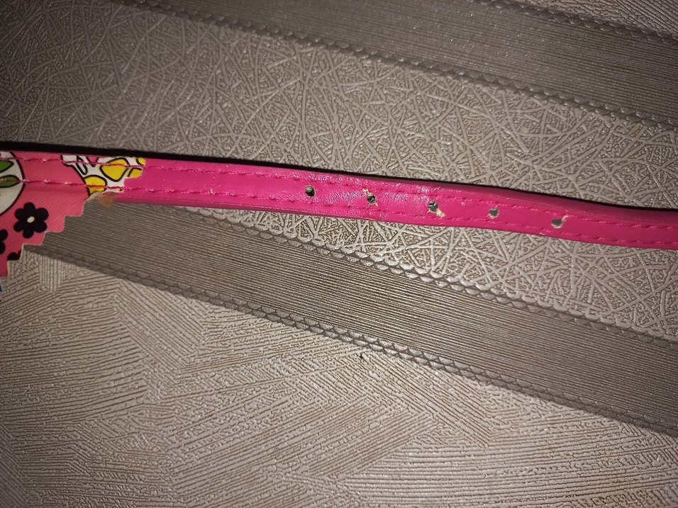 Renkli Pembe Kedi Boyunluğu - Görsel 4