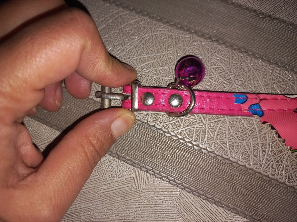 Renkli Pembe Kedi Boyunluğu - Görsel 3