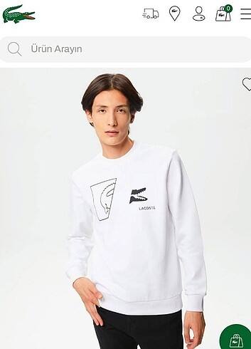 Lacoste sweatshirt 