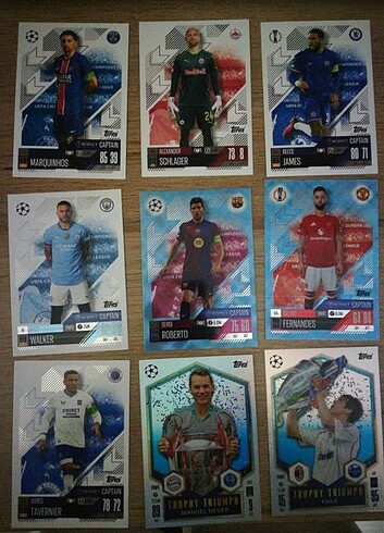  Beden Renk Topps kart
