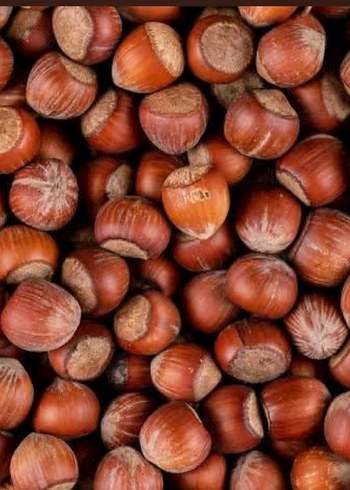 Gardrops ilanı