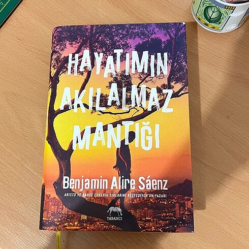 Hayatımın Akılalmaz Mantığı (Ciltli)
