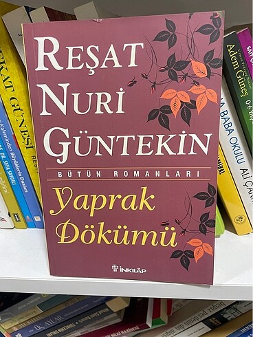 Reşat Nuri Güntekin yaprak dökümü