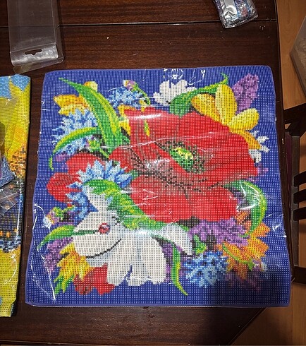 Diamond Painting Yastık Kılıfı