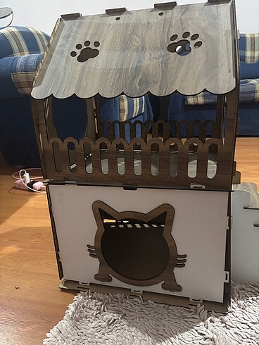 Kedi Evi