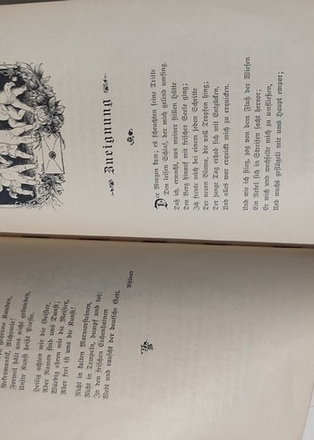 1888 Basım Eski Almanca Şiir Kitabı Antika - Görsel 8