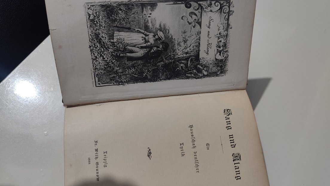 1888 Basım Eski Almanca Şiir Kitabı Antika - Görsel 5