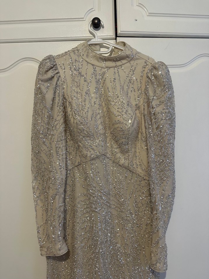 Bej Yılan Desenli Uzun Kollu Uzun Abiye Elbise - Görsel 2