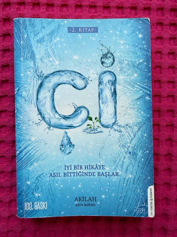 Aeden - Bir Dünya Hikayesi Romanı - Görsel 4