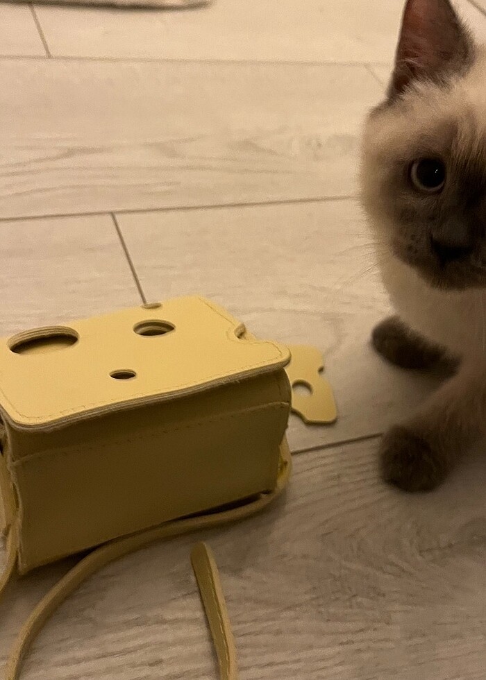 Sarı peynir çanta - Görsel 3