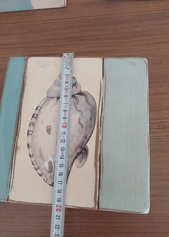 Mudo Pastel Mavi Deniz Kabuğu Temalı Dekoratif Tabaklar