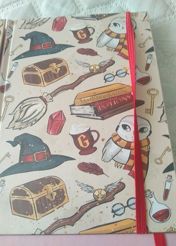 Çocuk Kitapları Seti - Harry Potter ve Alem Beybi - Görsel 6