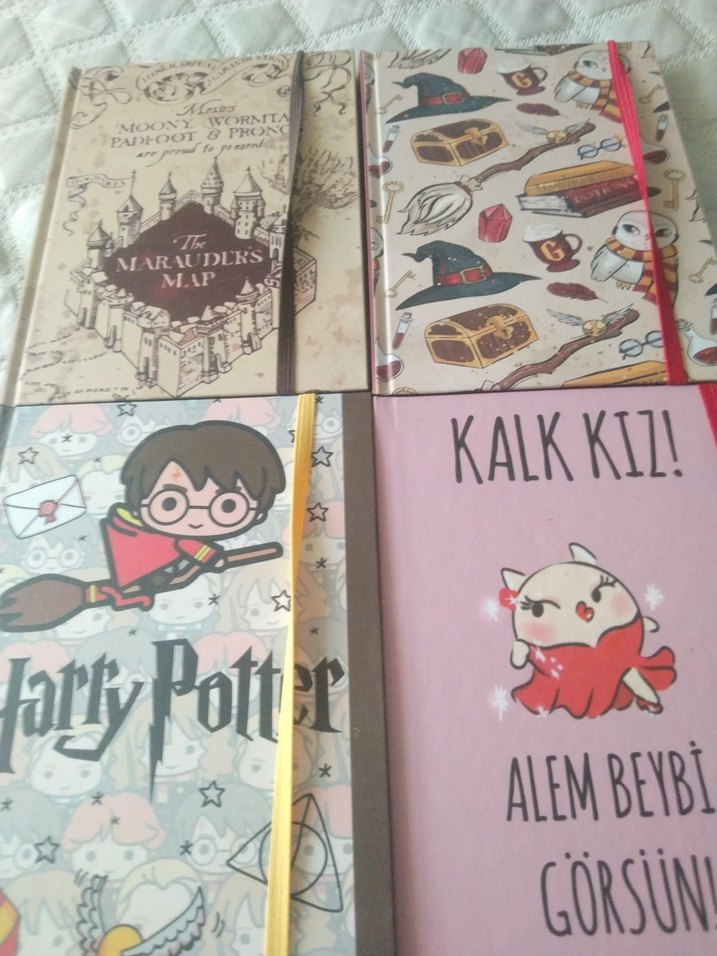 Çocuk Kitapları Seti - Harry Potter ve Alem Beybi - Görsel 2