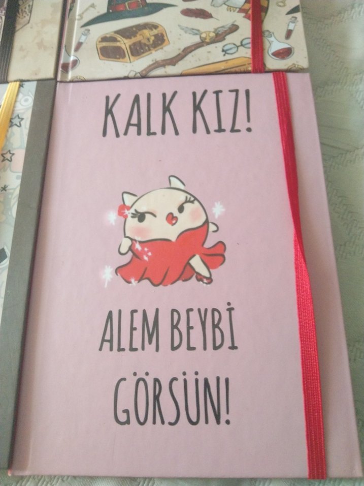 Çocuk Kitapları Seti - Harry Potter ve Alem Beybi - Görsel 4