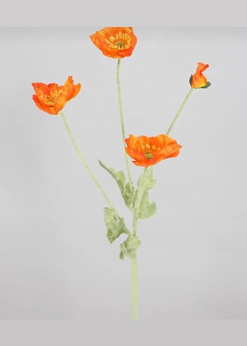 Yapay Gelincik Çiçek - Görsel 5