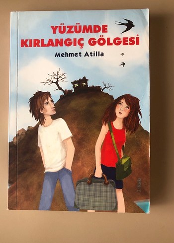 Yüzümde Kırlangıç Gölgesi kitap